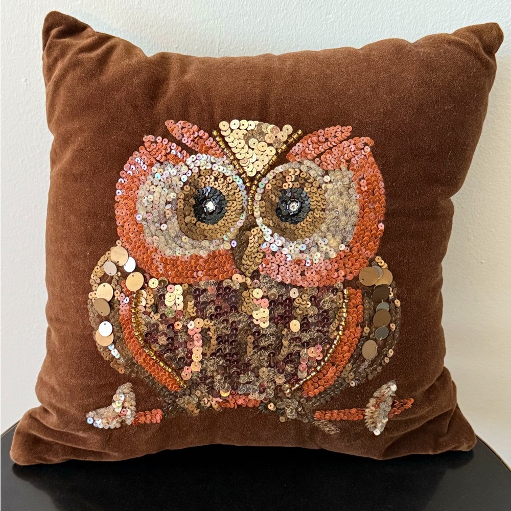NEW. Pier 1 Pillow with Owl. 🦉 - Picture 4 of 16